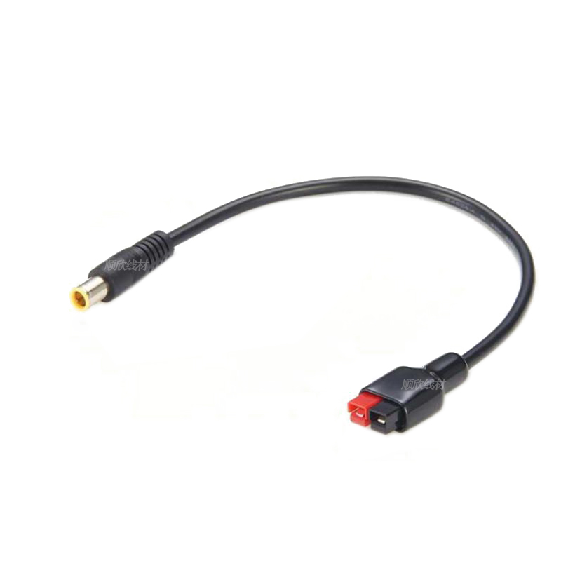 DC7909 male and female to 30A  - Outdoor Power Extension Cord review and price