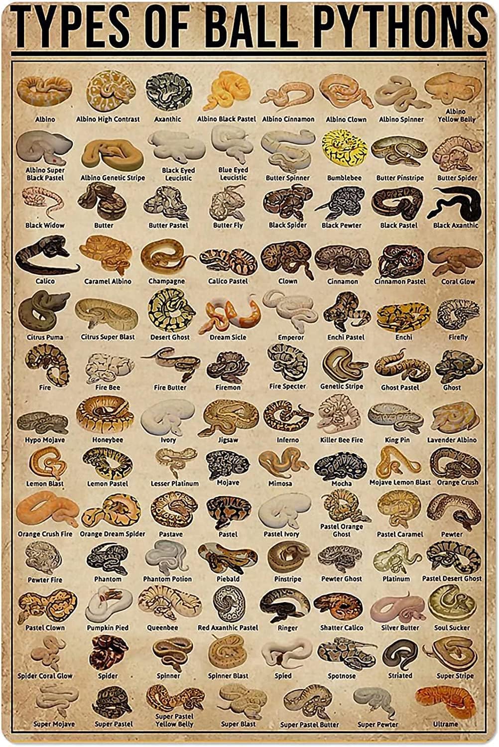 Retro Metal Tin Sign Types of  - Outdoor Power Bar review and price